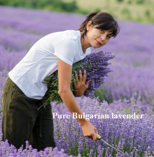 The Quality of our USDA Organic Lavender Oil